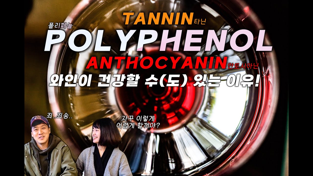 와인을 건강하게 만들어주는 요소인 타닌, 안토시아닌 그러니까 결국 폴리페놀에 대한 이야기 ★ All about Polyphenol in wine
