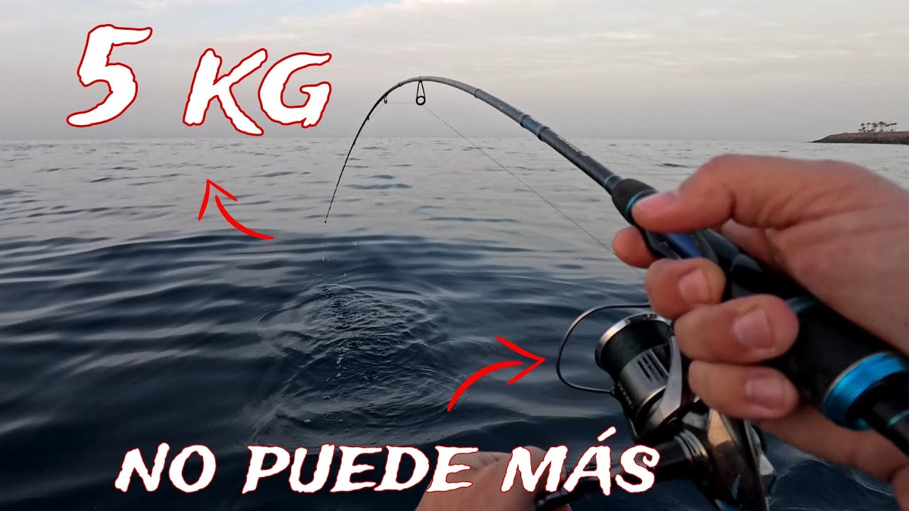 Shimano Stella y La VERDAD Sobre el Mejor Carrete Del Mundo.