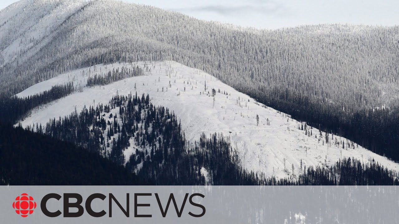 Why B.C.'s iconic Kokanee glacier 'is a glacier in trouble'