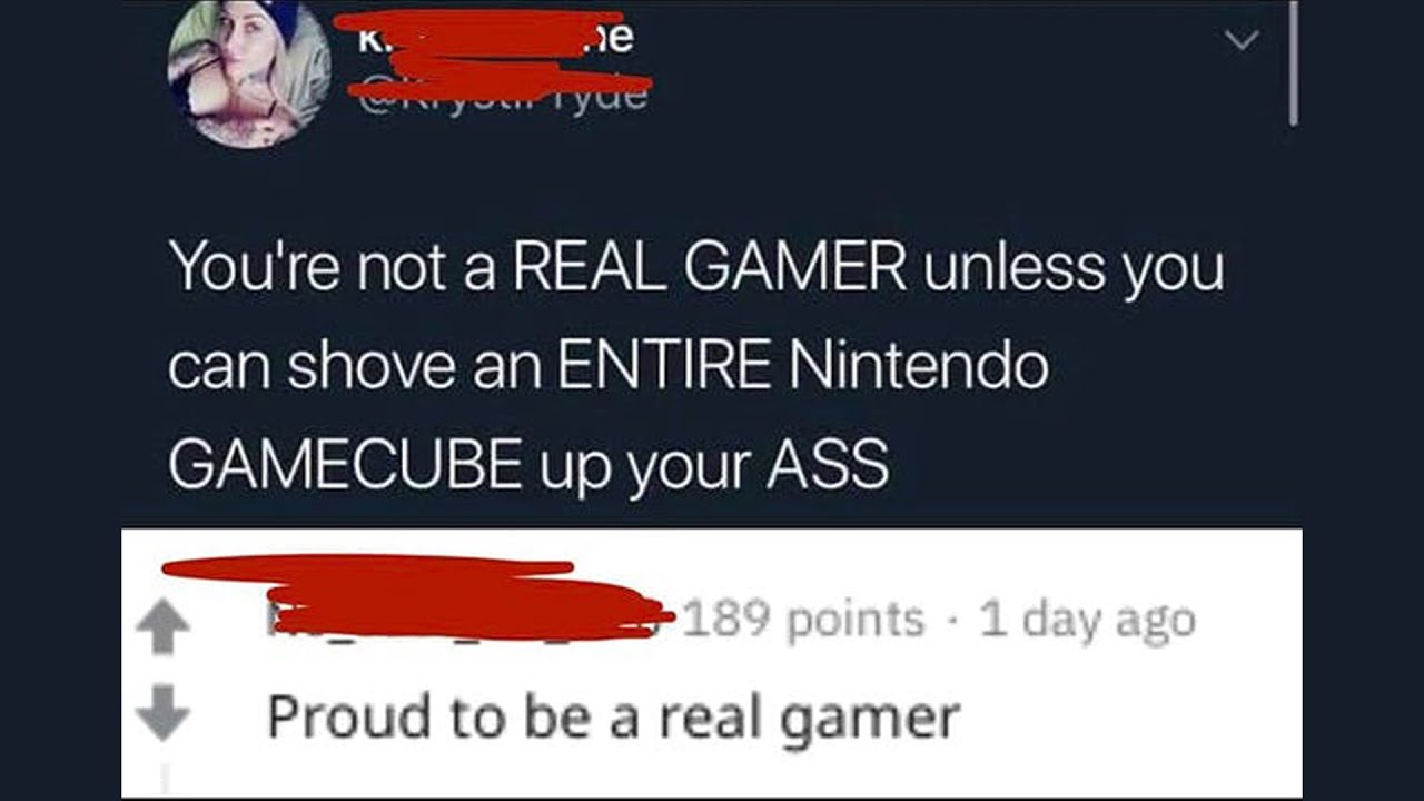 r/Gatekeeping - That's not how you play Nintendo