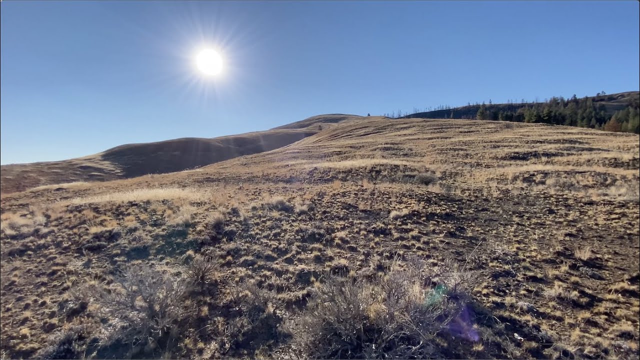 Umtanum Ridge Hike