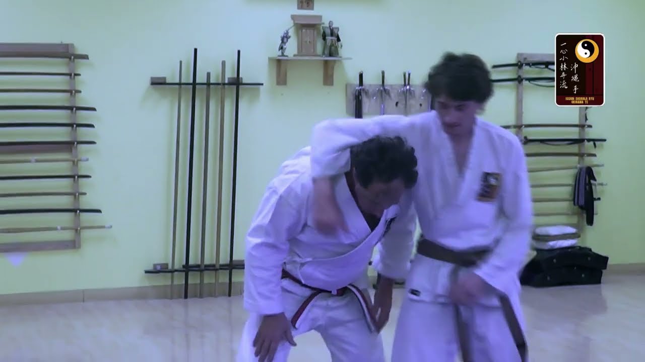 Breaklocks: Headlock - Side, Rolling Throw - Shihan Robert Cusumano #martialarts #karate #breaklocks