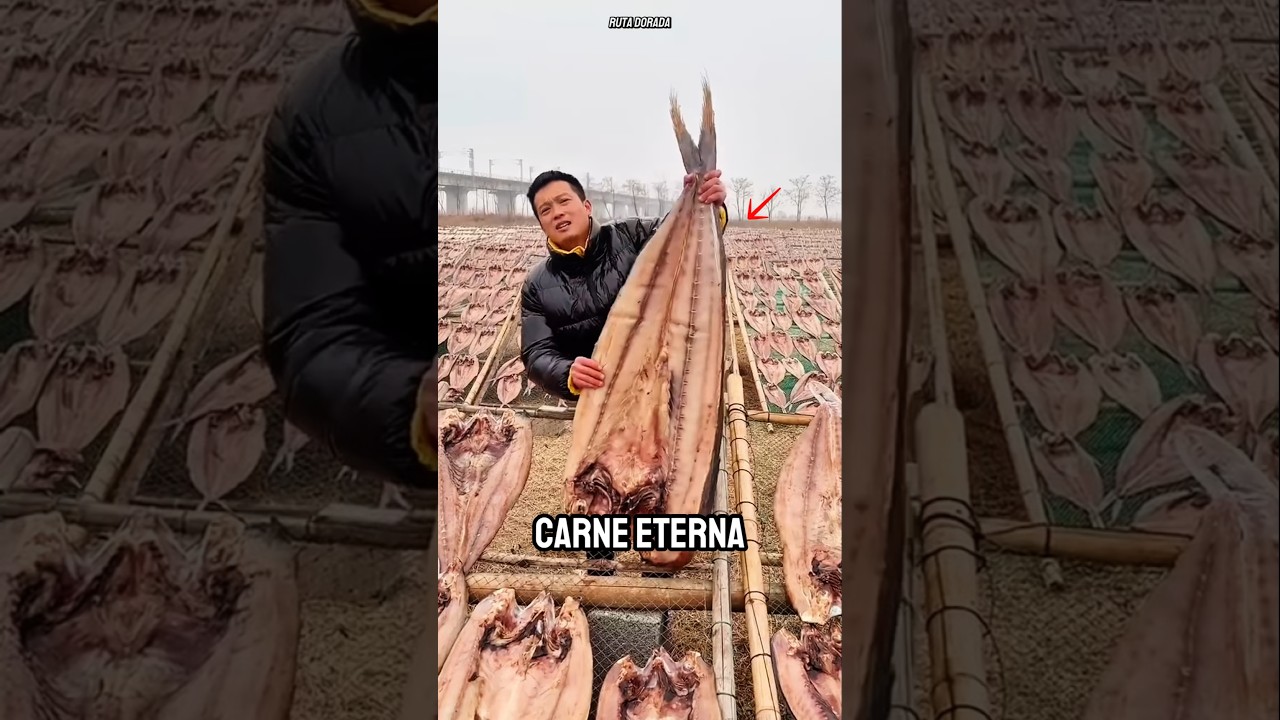 &iexcl;AS&Iacute; CONSERVABAN LA CARNE POR A&Ntilde;OS SIN NEVERA NI QU&Iacute;MICOS!