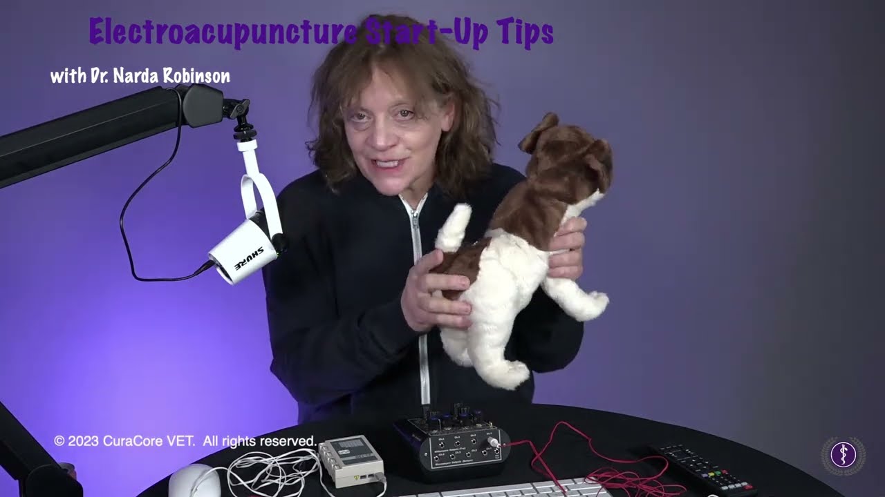 Electroacupuncture Start-Up Tips with Dr. Narda Robinson