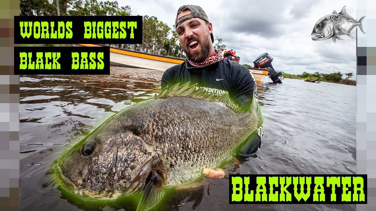 A Papuan Black Bass Film - BLACKWATER