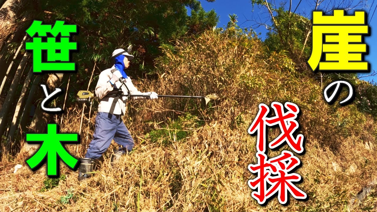 崖に繁茂している笹や木を伐採する小屋暮らし弱者男性