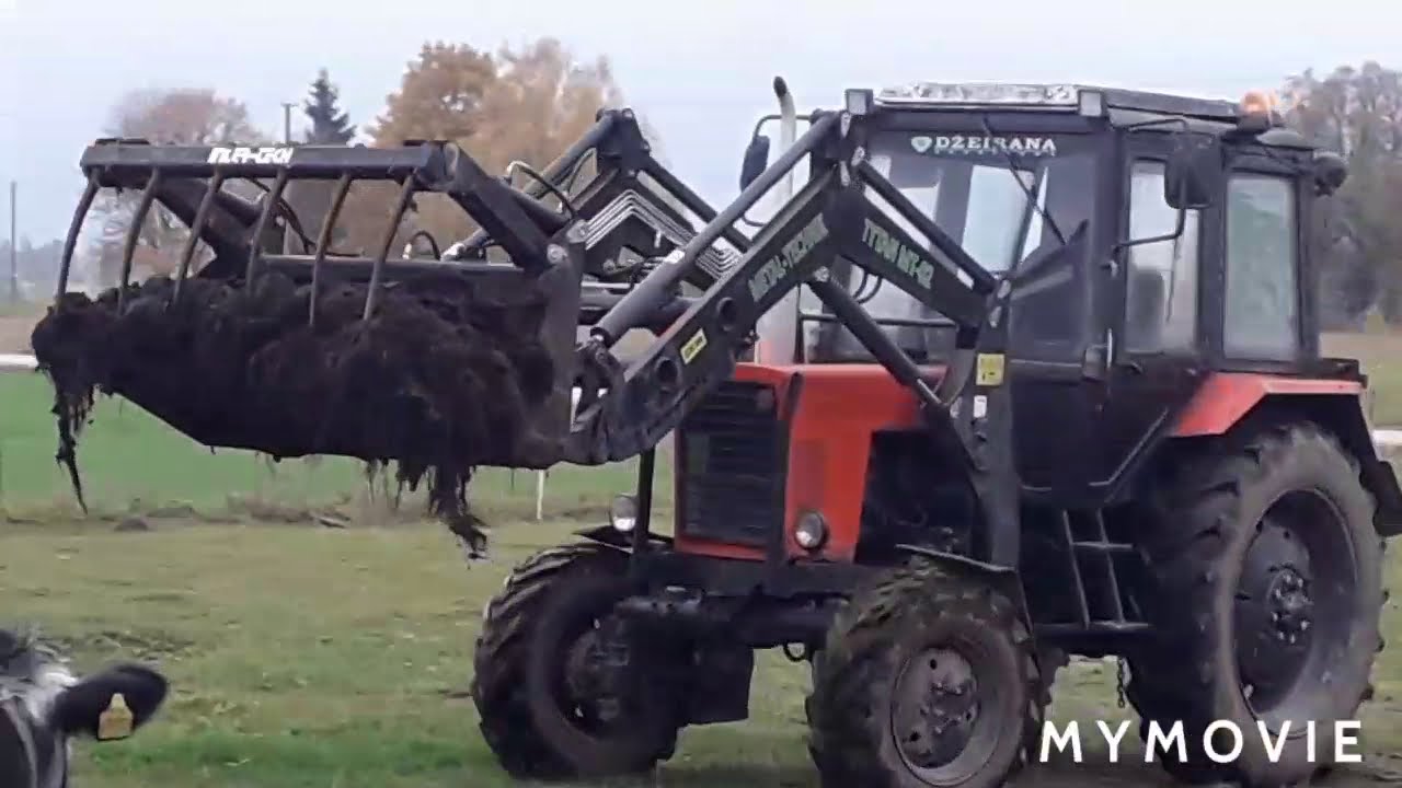 МТЗ 82 УК Обработка навоза. MTZ 82 UK Krovimas mėšlo.