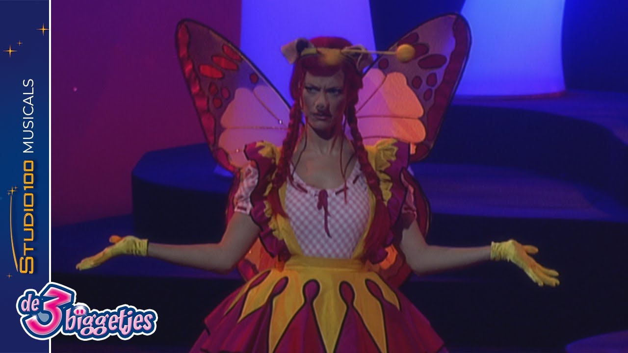 Carnaval - Musical De 3 Biggetjes