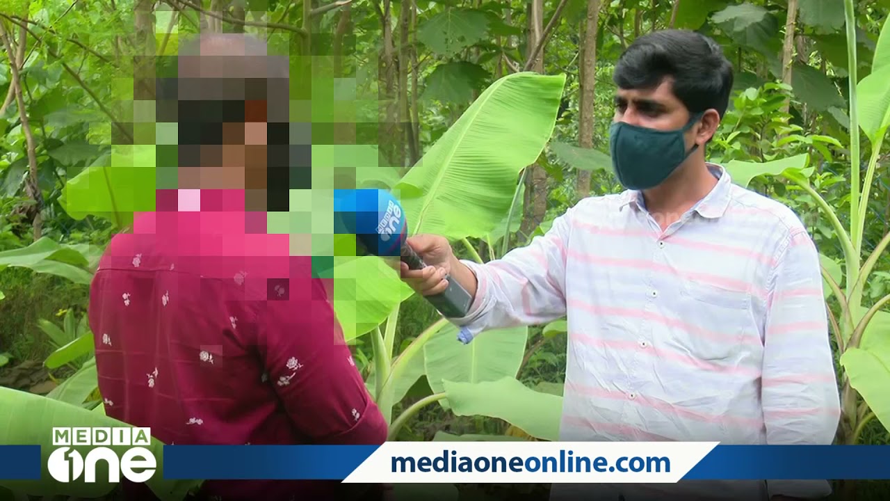 ചെര്‍പ്പുളശ്ശേരിയിലെ ക്വട്ടേഷന്‍ സംഘം: അനുഭവം വിവരിച്ച് യുവാവ് | Cherpulassery quotation gang