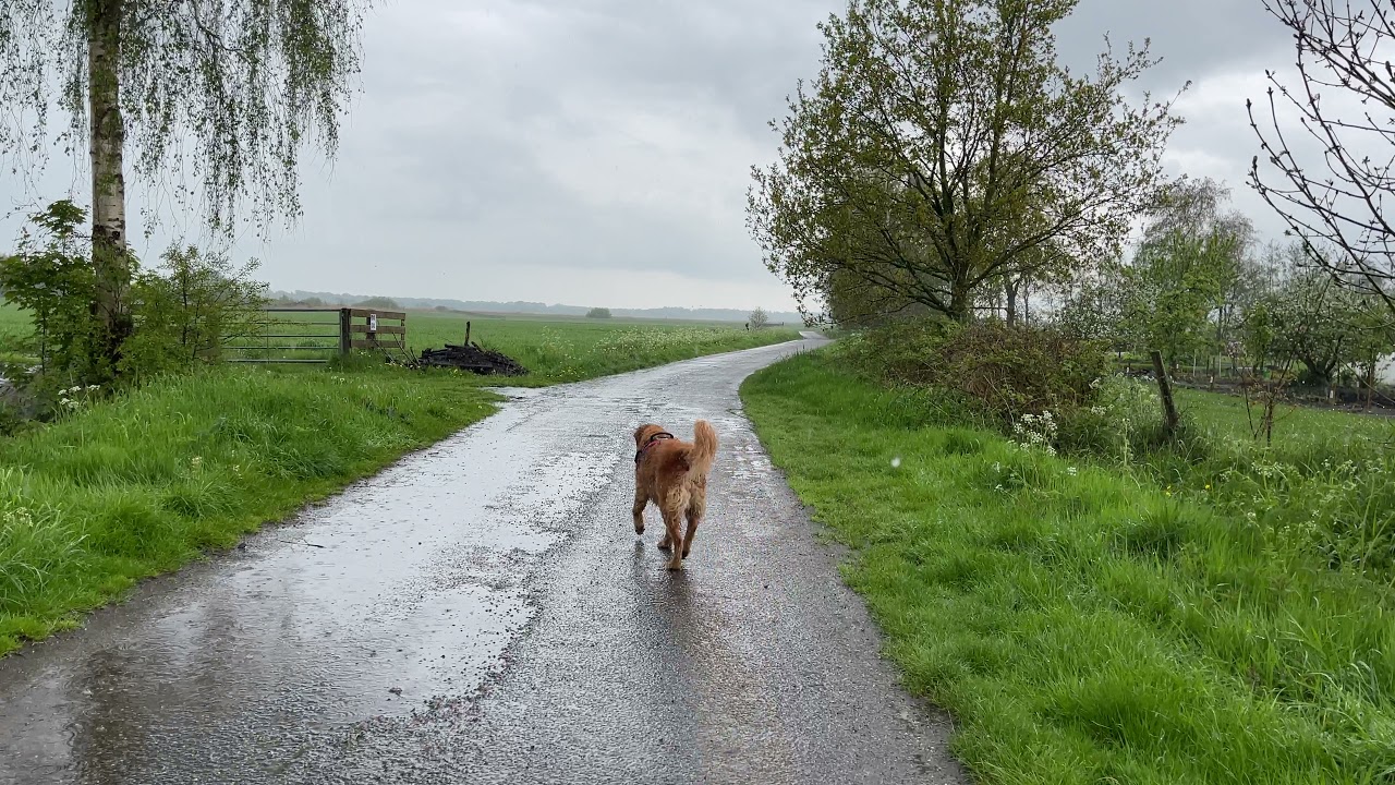 Its raining but we don’t care