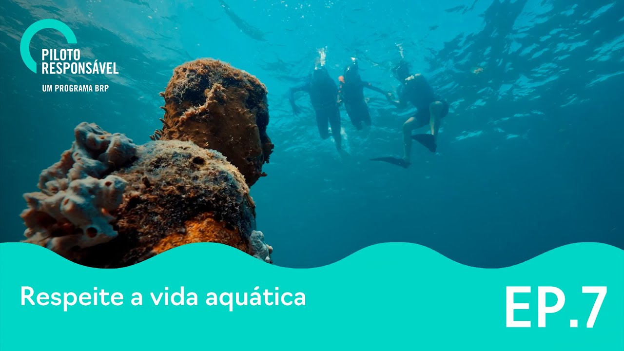 Programa Piloto Responsável Sea-Doo - RESPEITE A VIDA AQUÁTICA