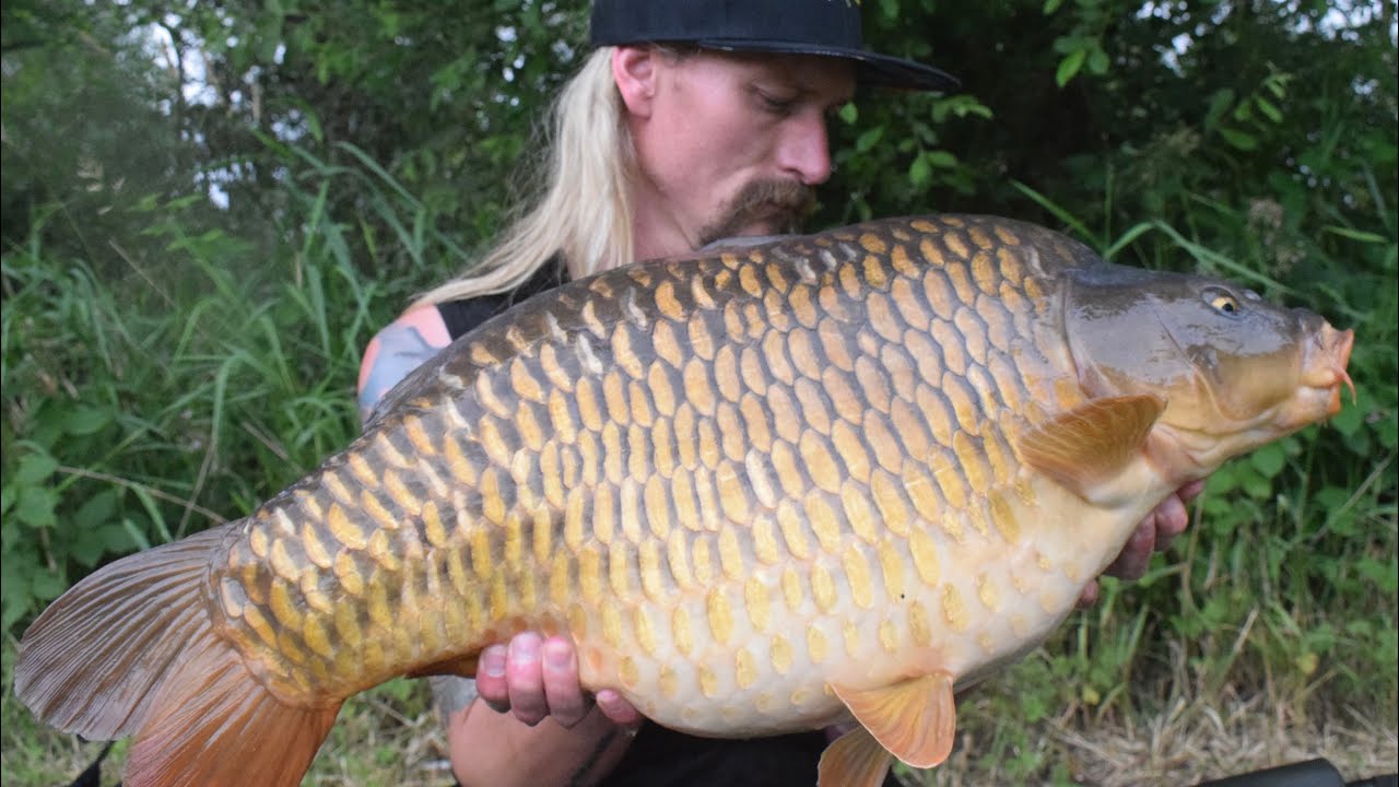 PB COMMON CARP!! Stafford Moor Beatties Lake Fishing