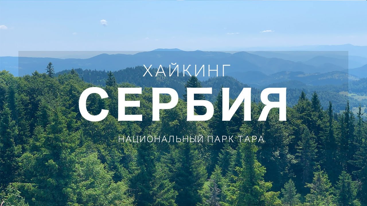 Сербия. Национальный парк Тара.
