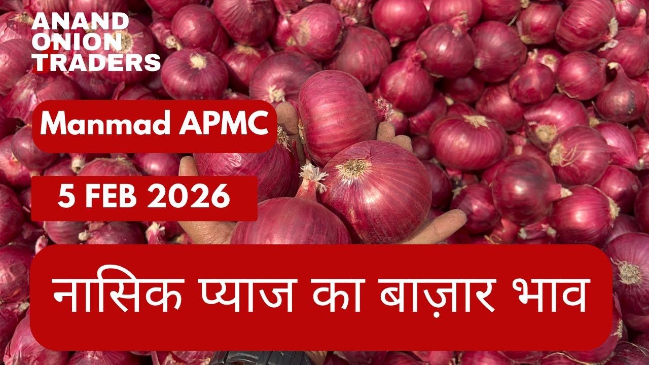 Nashik APMC Onion Today Rate | Red Onion Wholesale Price | Live Market 5 February 2026