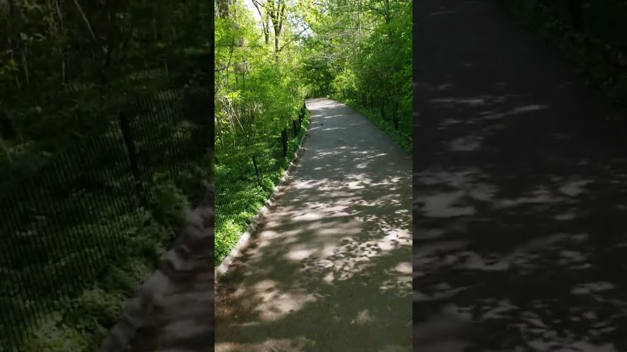 smoking walking through Central Park end of April 2023