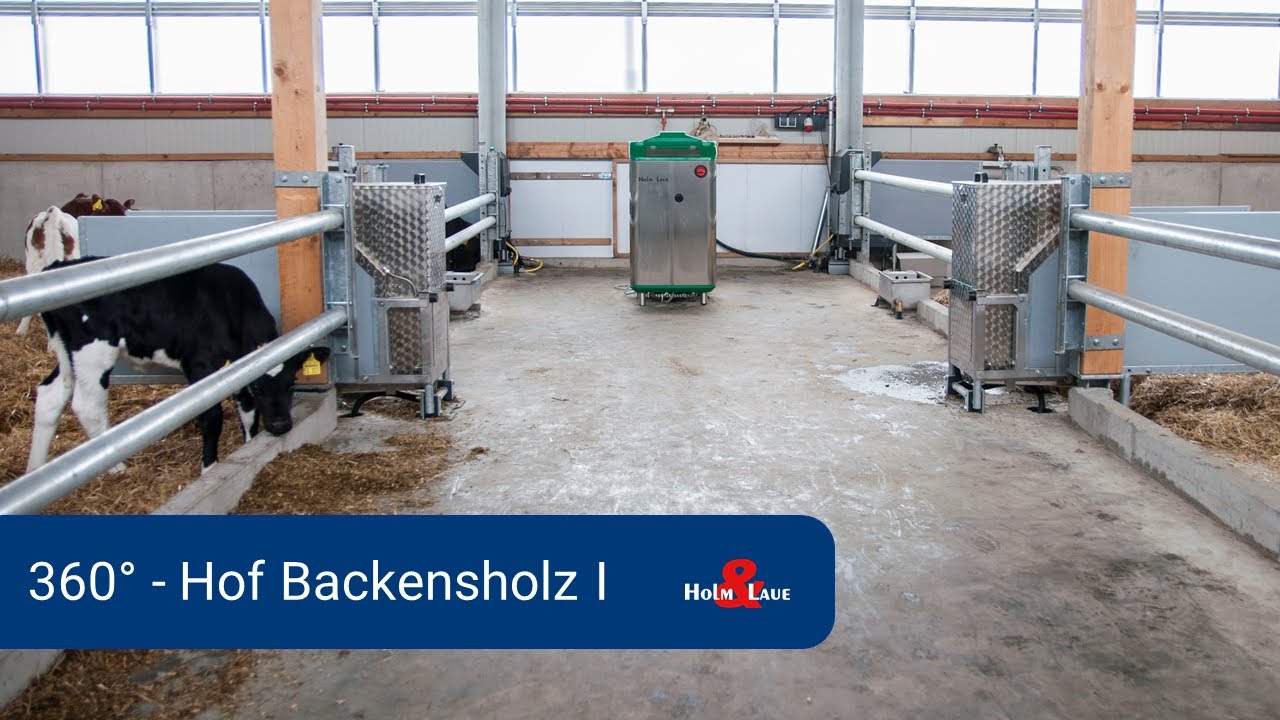 360° Hof Backensholz 1 - Kälberstall innen
