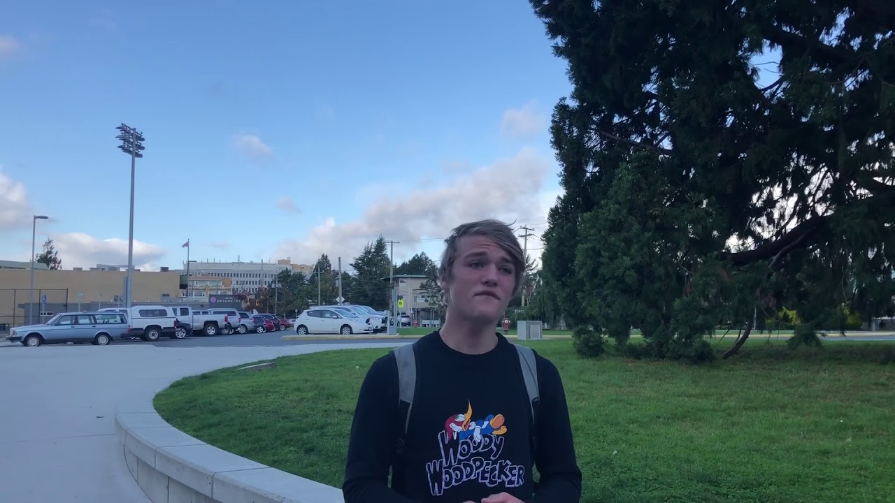 The haunting of oak bay