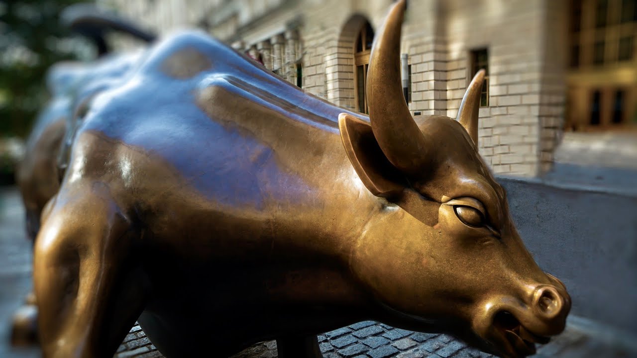 Stock market hits record highs: We are in a bull market...expect more highs: Strategist
