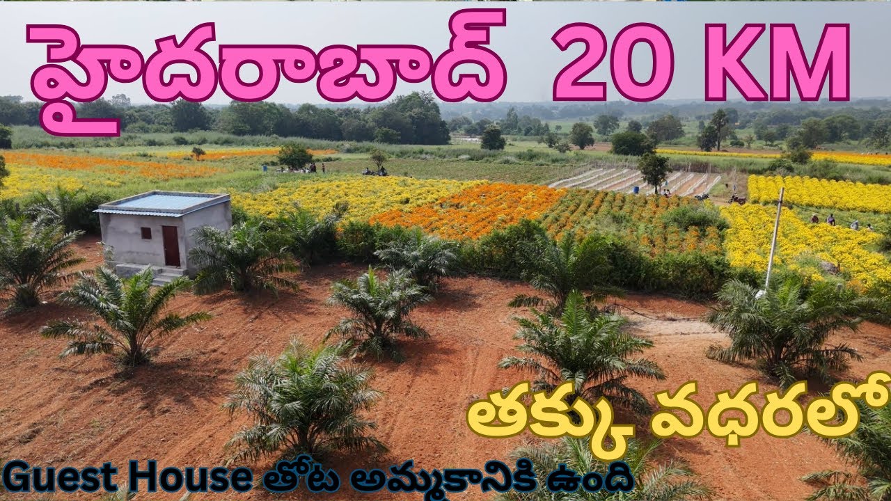 హైదరాబాద్  20 KM తక్కు వధరలో Guest House clear title తోట అమ్మకానికి ఉంది