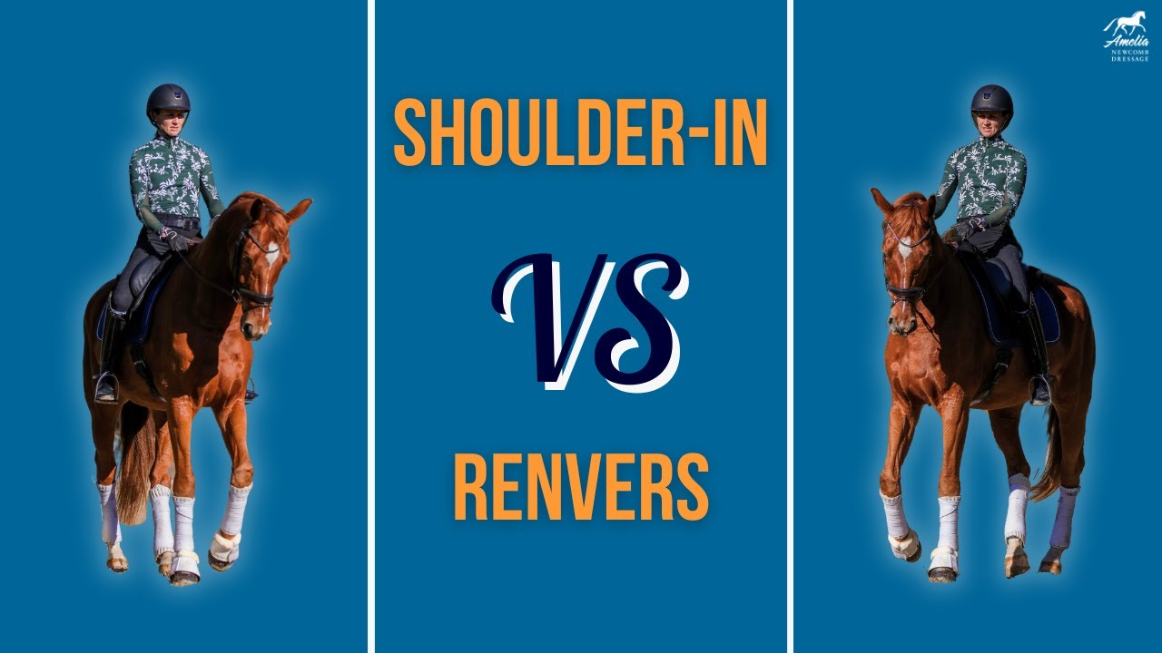 How to Ride Shoulder-in and Renvers