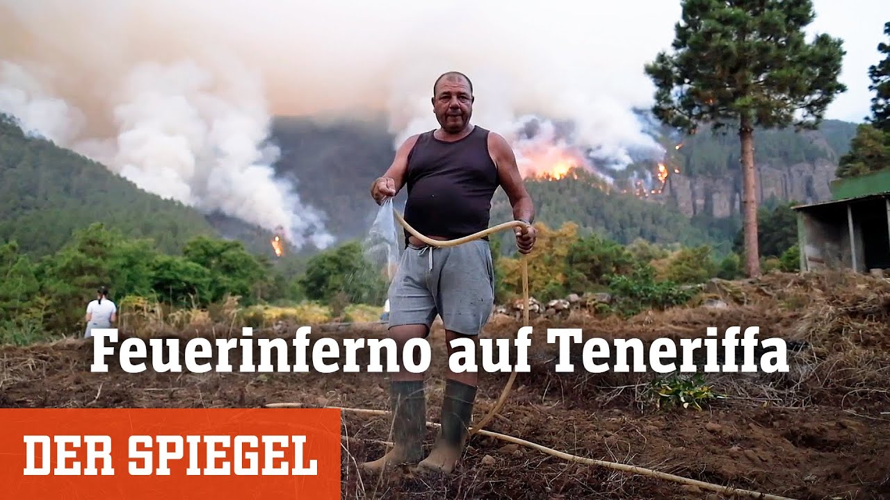 Feuerinferno auf Teneriffa: Flammen zerstörten bereits Fläche von 5000 Fußballfeldern | DER SPIEGEL
