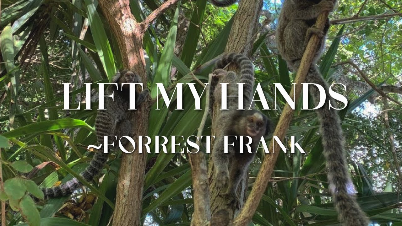 Forrest Frank- Lift My Hands Sped Up
