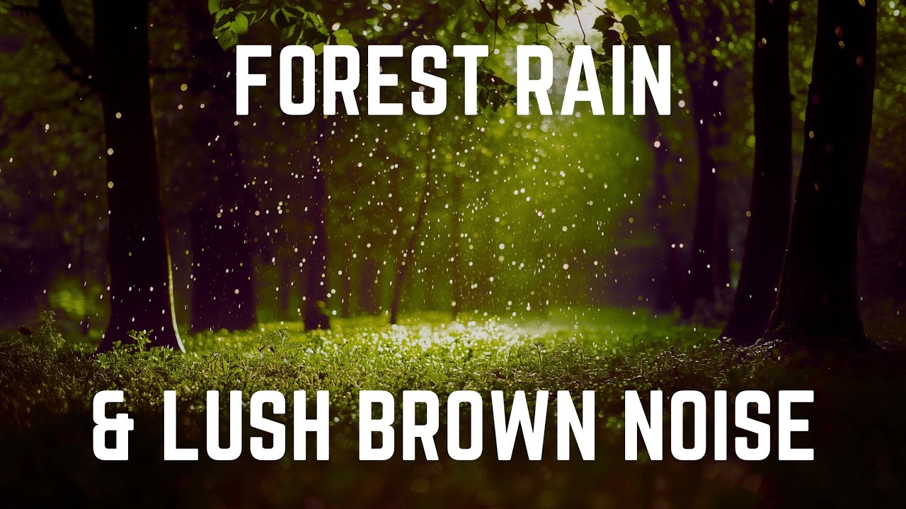FOREST RAIN & LUSH BROWN NOISE | 12 Hours | Black Screen | No Midway Ads - Relax/ Sleep/ Focus