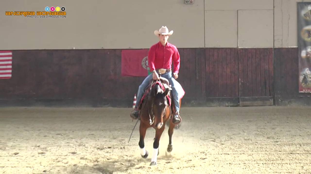 Copy of NICO SICURO   & TREASURETAZ    TRHA NOVICE HORSE CHAMPION 71