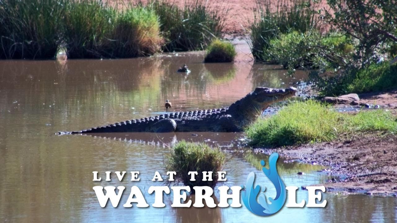 Live At The Waterhole - 21 May, 2024