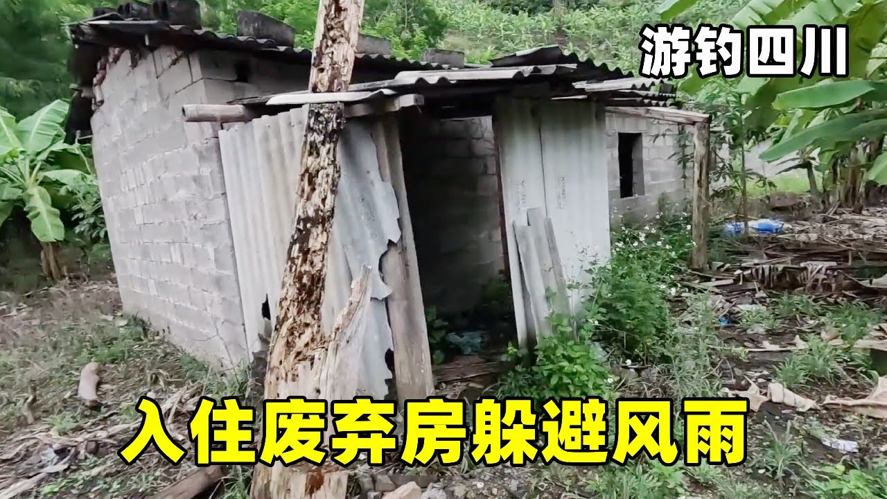 游钓来到泗南江，听说这里巨物横行，入住废弃房躲避风雨【真男人老黄】
