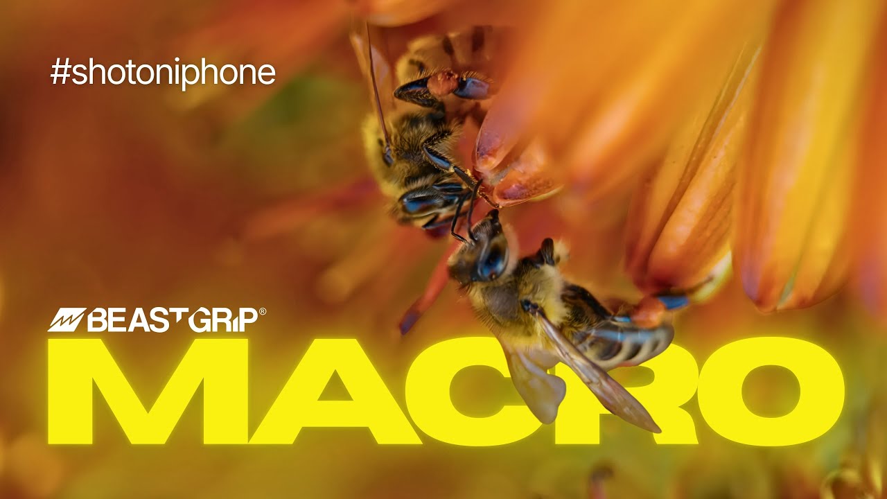 #shotoniphone 17 Pro Series с макрообъективом Beastgrip | Автор: Энтони Бари из SmallWins