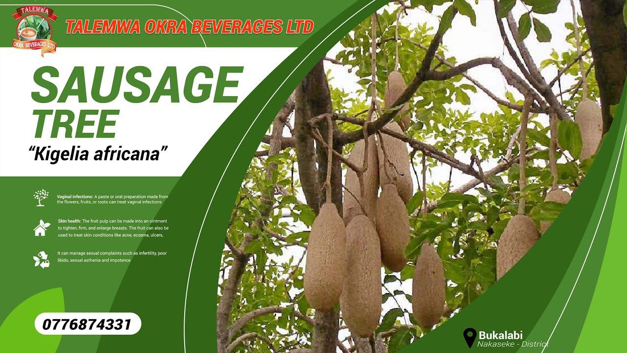 AYAGALA OKUGEZA EBITUNDU BYOMUBIRI WEKWATE OMUSA