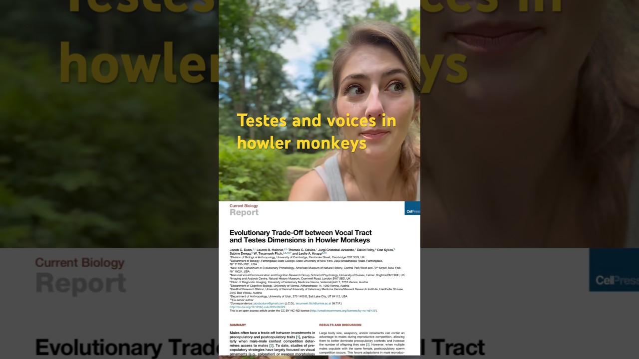 The relationship between testicles and voice in howler monkeys! #sicence #scicomm #monkey #research