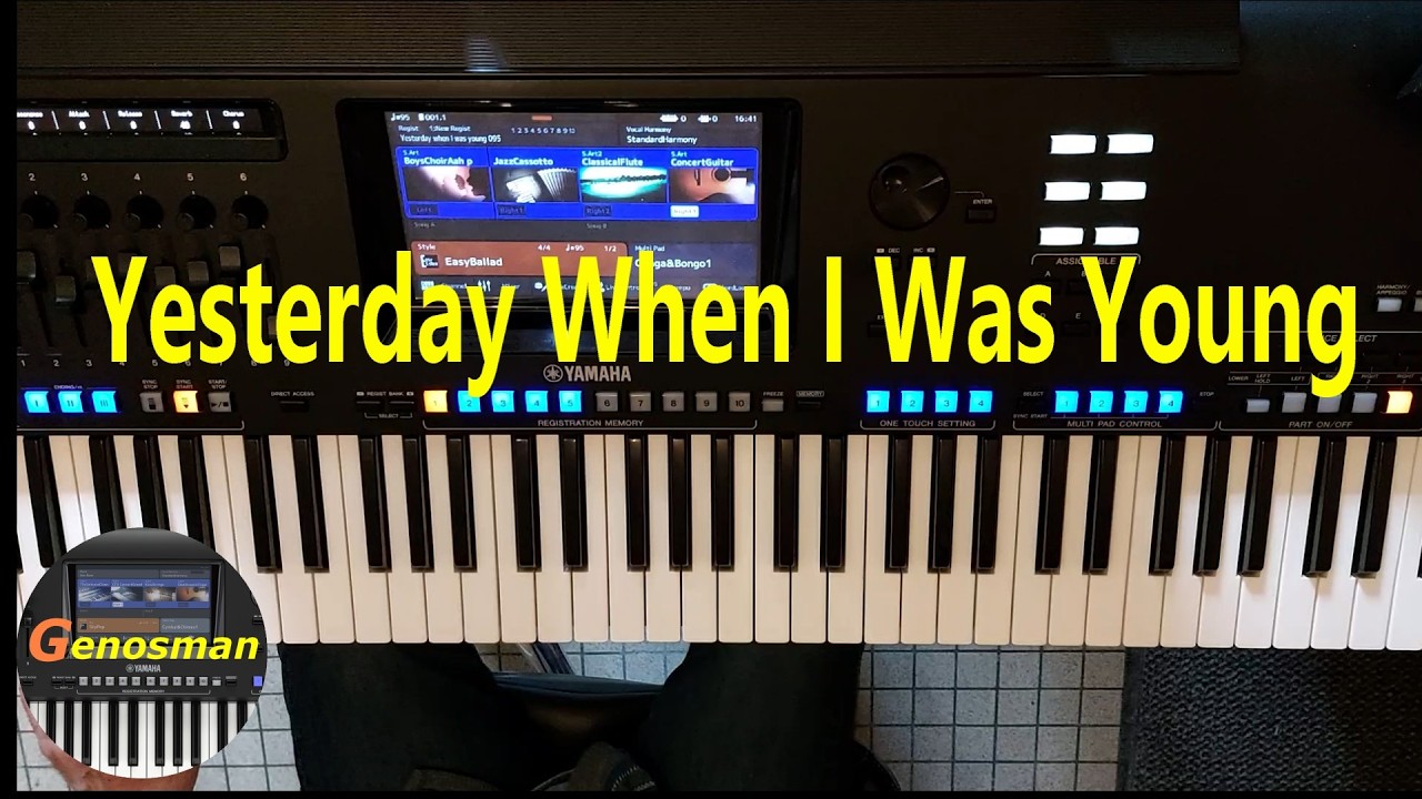 Yesterday When I Was Young - Charles Aznavour (Instrumental cover)