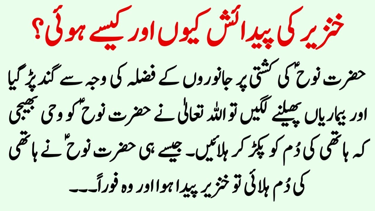 Khinzeer Ki Paidaish Kiyu Aur Kaise Hui ? ॥ Islamic Stories ॥ Noorani Talks