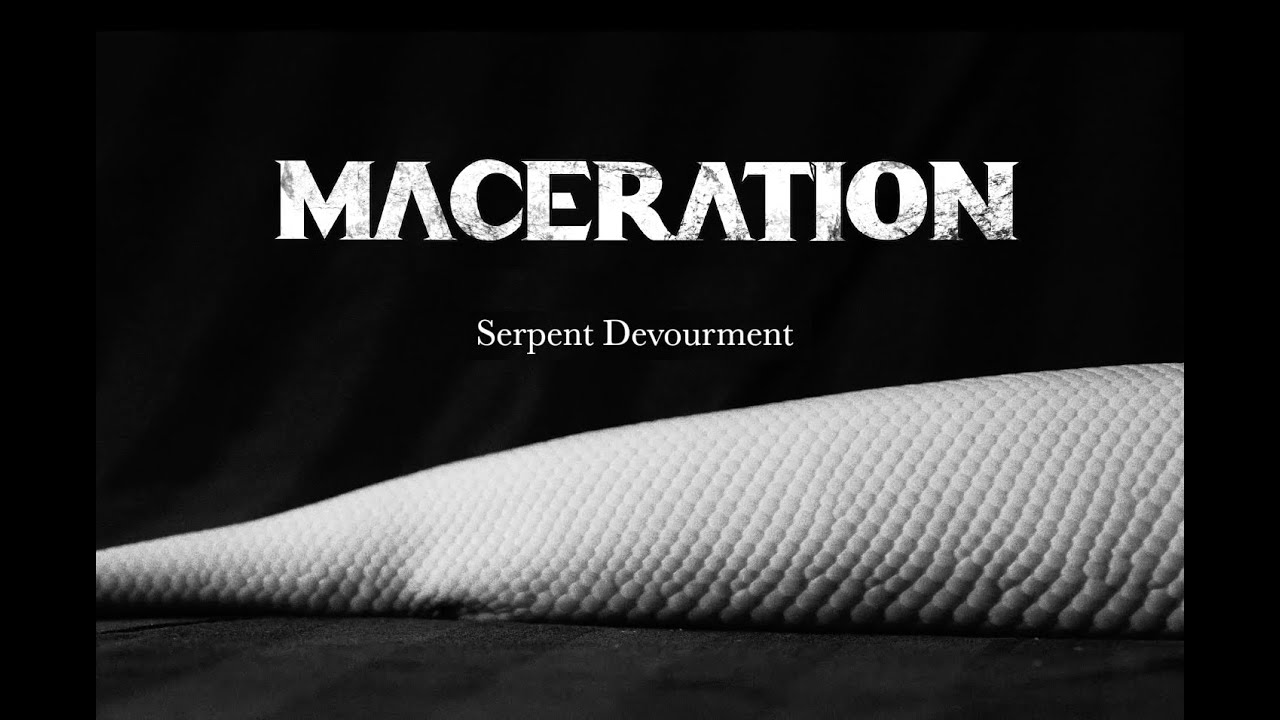 MACERATION - Serpent Devourment (official video)