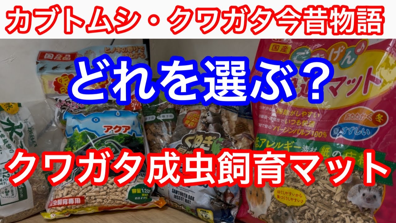 どれを選ぶ？クワガタ成虫飼育マット編