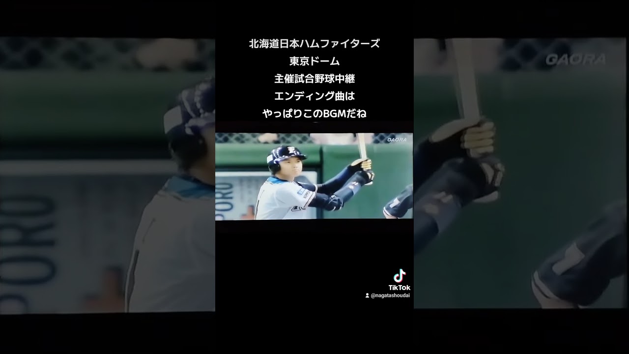 北海道日本ハムファイターズ東京ドーム主催試合野球中継エンディング曲やっぱりこのBGMだね