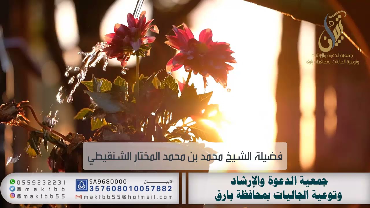 تأملات في فضل قول (الله أكبر)