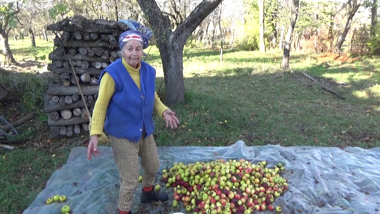 Dobolii de Jos (Aldoboly) - La țară - facem mustul (4-5 Nov 2017)