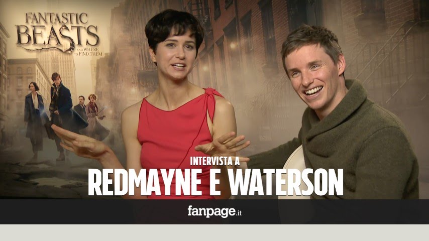 Eddie Redmayne e Katherine Waterston presentano 