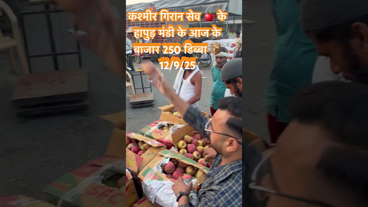Kashmir Giran apple 🍎 today price 250 nag Hapur mandi