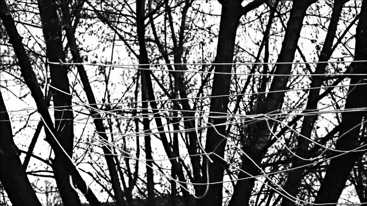 Alternative 4 - Lifeline [official music video]