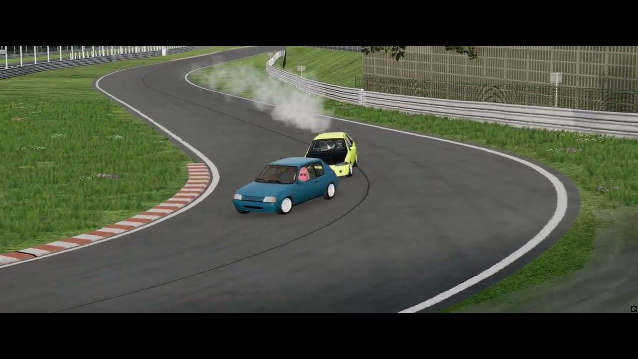 Tsukuba Ts019 category - Peugeot 205 vs. Mitsubishi Colt
