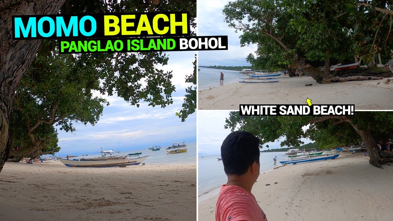WHITE SAND AND COOL CRYSTAL BLUE WATER - Momo Beach in Panglao, Bohol