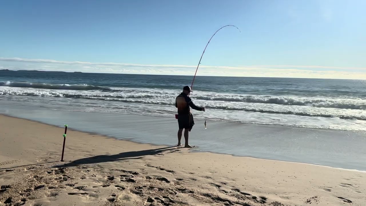 Fishing off Windang NSW | Chasing Whiting on light gear