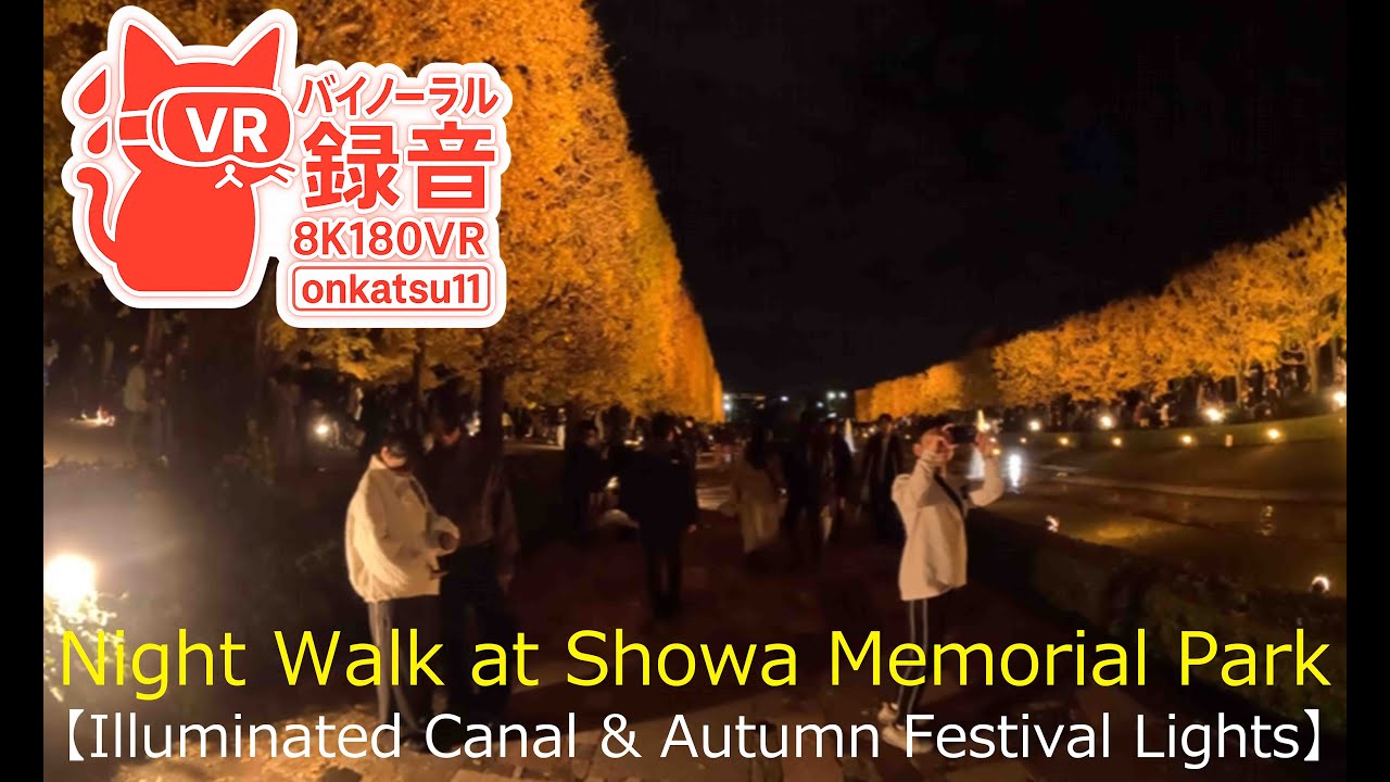 🍁 [Night Walk at Showa Memorial Park — Illuminated Canal & Autumn Festival Lights (8K VR180)]
