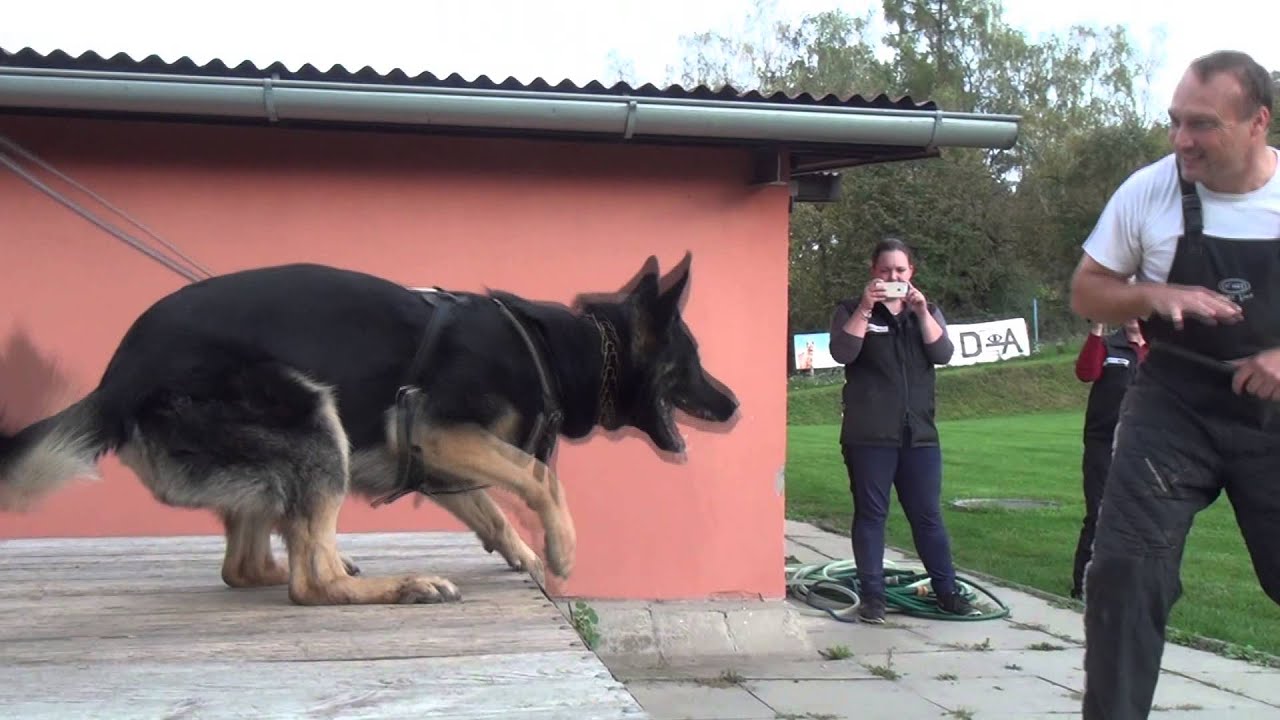 Trainingswoche mit Vit Glisnik