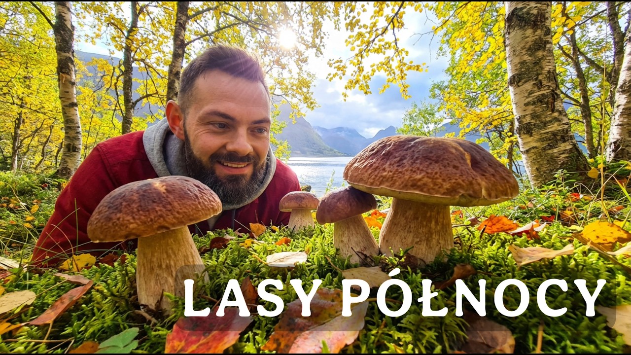 GRZYBOWE ELDORADO! 🍄 Tyle Prawdziwków w Norwegii?