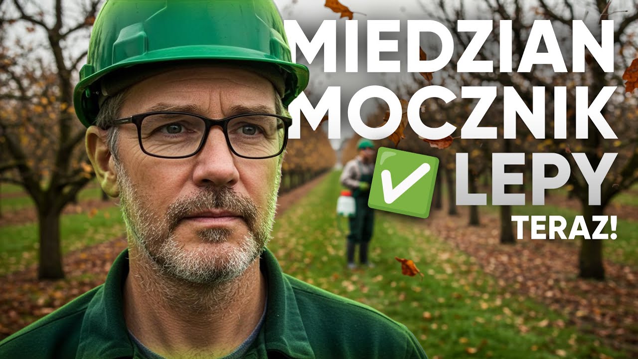 Parch i kędzierzawość? Jesienne opryski w sadzie: miedzian, mocznik, lepy... uratują wiosnę 🍏🍂